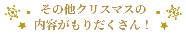 その他クリスマスの内容がもりだくさん！
