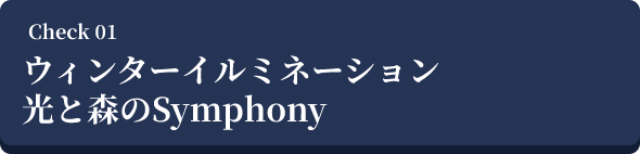 ウィンターイルミネーション 光と森のSymphony