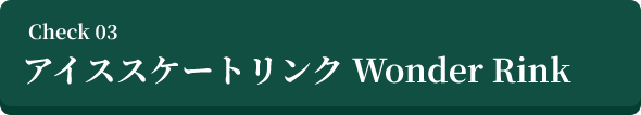アイススケートリンク Wonder Rink
