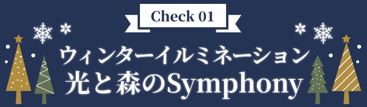 check01 ウィンター イルミネーション 光と森のSymphony 詳細は画像をタップ!