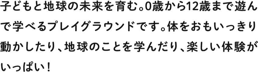 子どもと地球の未来を育む。0歳から12歳まで遊んで学べるプレイグラウンドです。